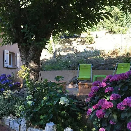 Mini Villa De Charme. Zonza Extérieur photo