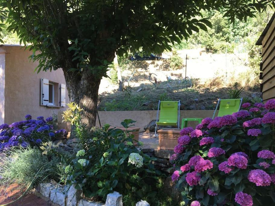 Villa Mini De Charme. Zonza
