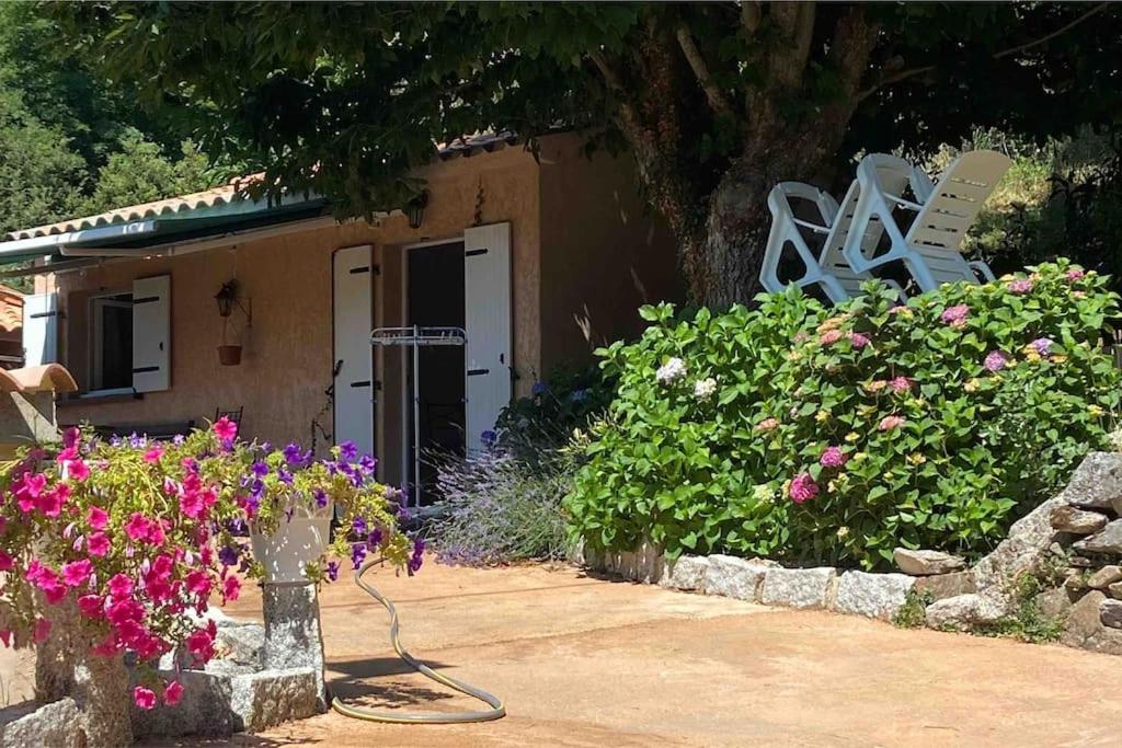 Mini De Charme. Villa Zonza